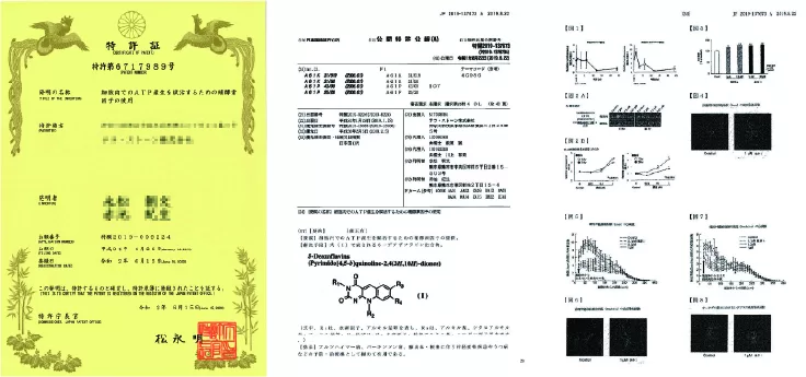 5-デアザフラビンに関する特許（特許第6717989）